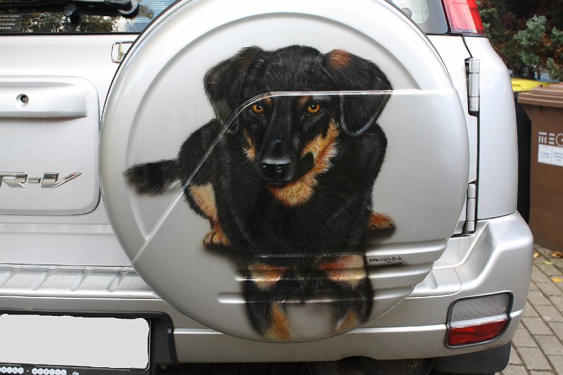 Auto Radabdeckung Hund.jpg